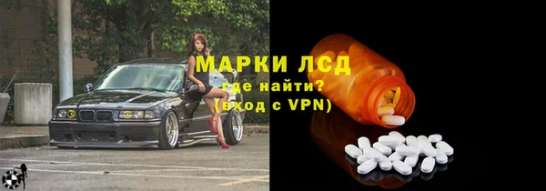 стаф Сатка