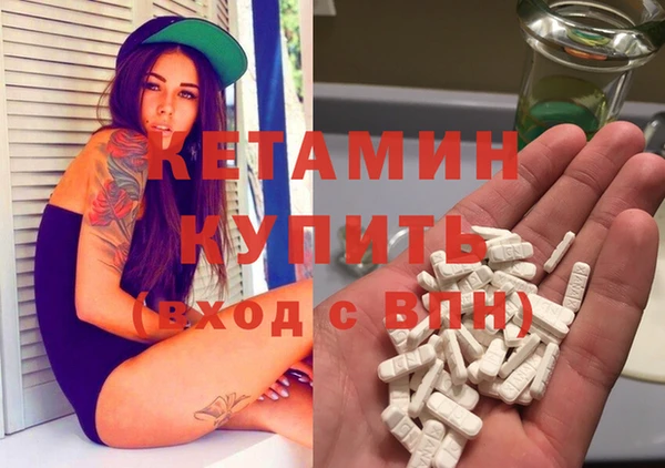 крисы Абаза