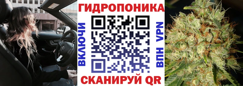 Марихуана гибрид Бирюсинск